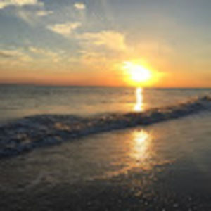 Meet your Posher, Faith